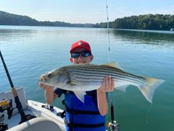 Striped Bass Lake Lanier